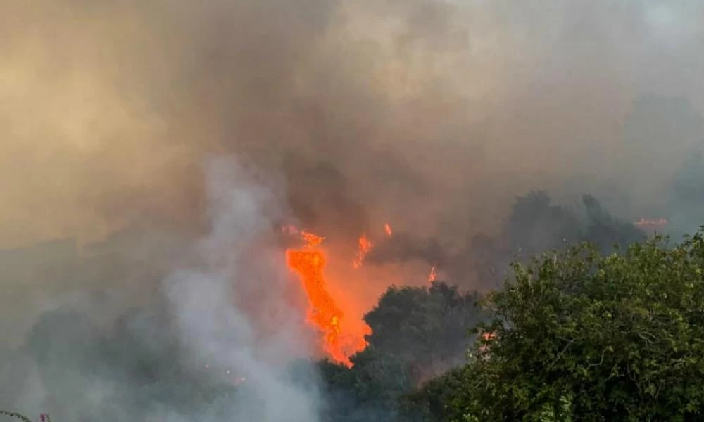 Σε εξέλιξη πυρκαγιά στο Βρωμονέρι Πηλίου σε δύσβατη περιοχή